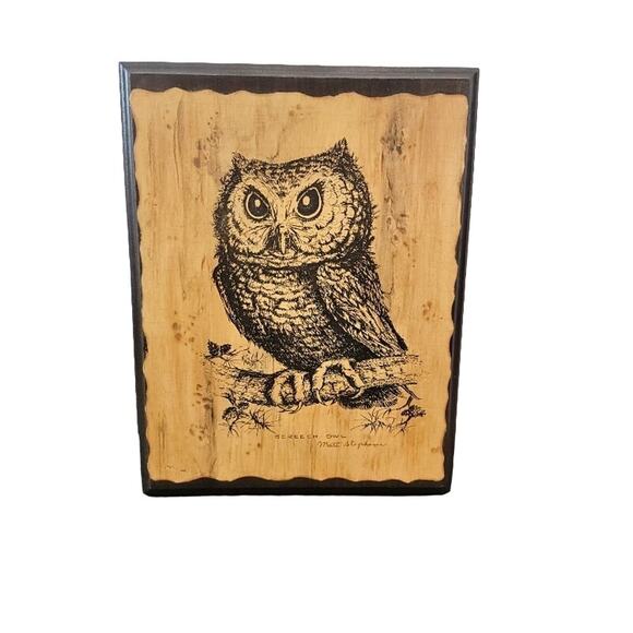 Screech Owl Wood Art Wall Decor Signed 11" Custom Artwork - Picture 4 of 10